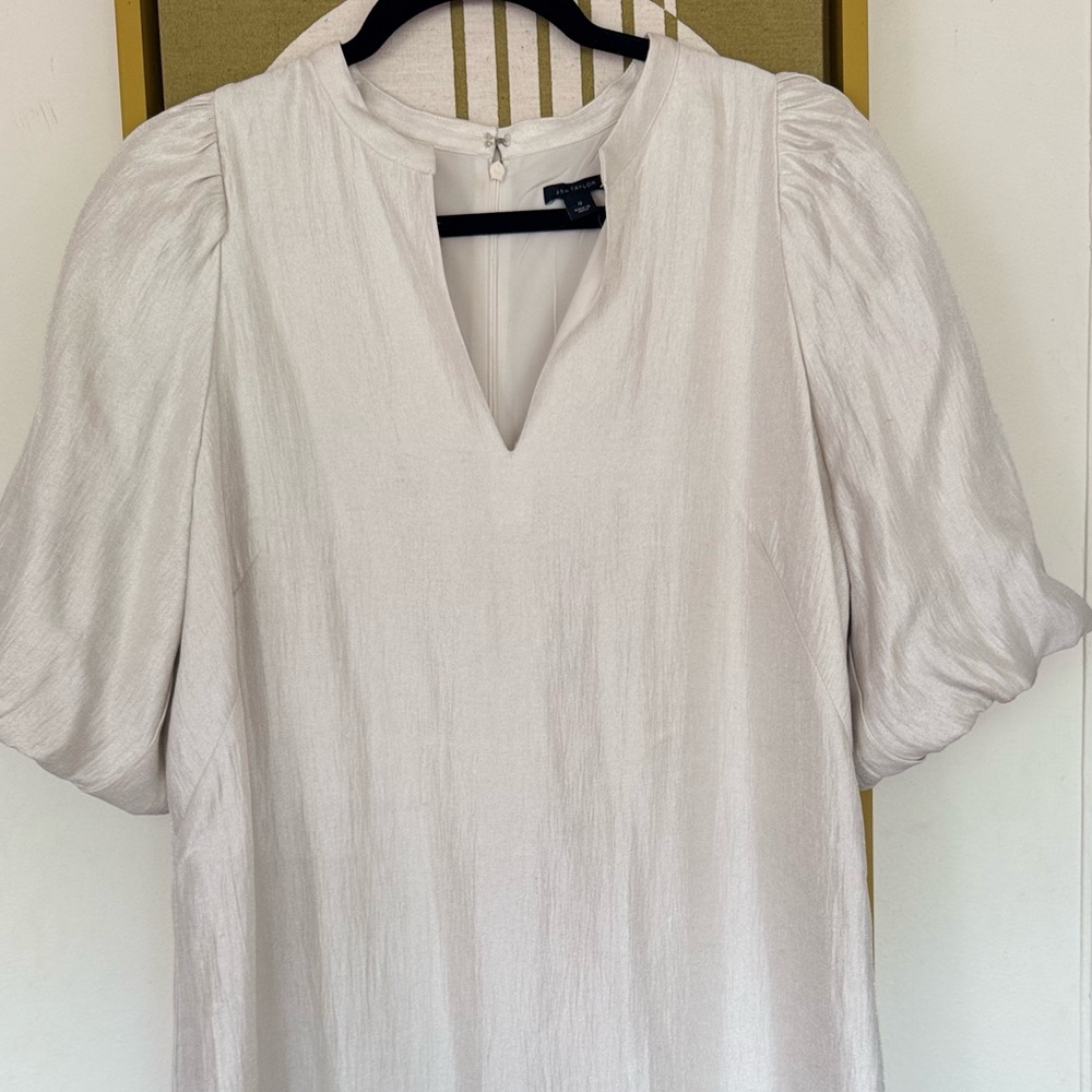Ann Taylor champagne shift dress - Picture 6 of 6